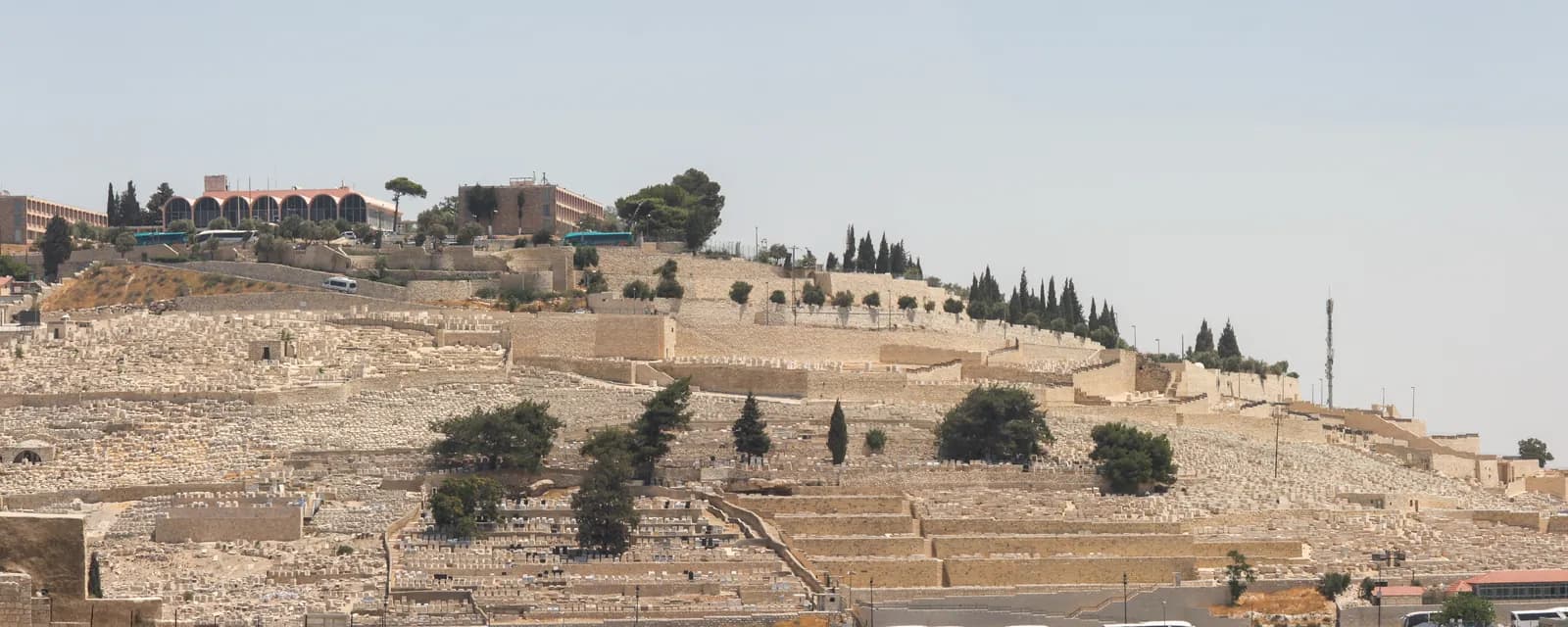 מדרונות הר הזיתים באור יום מלא — מבט רחב ומכובד